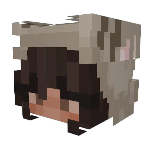 ghostcavity Minecraft avatar head, 3D render