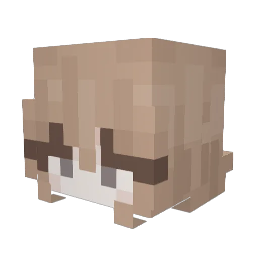 ghostedmrshmllw Minecraft avatar head, 3D render