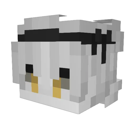ghostg5273 Minecraft avatar head, 3D render