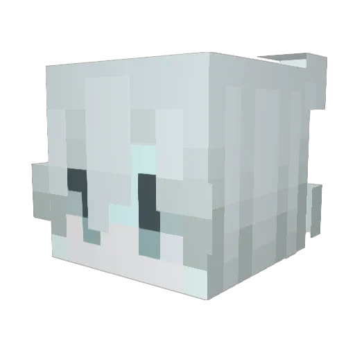 ghostie1223 Minecraft avatar head, 3D render