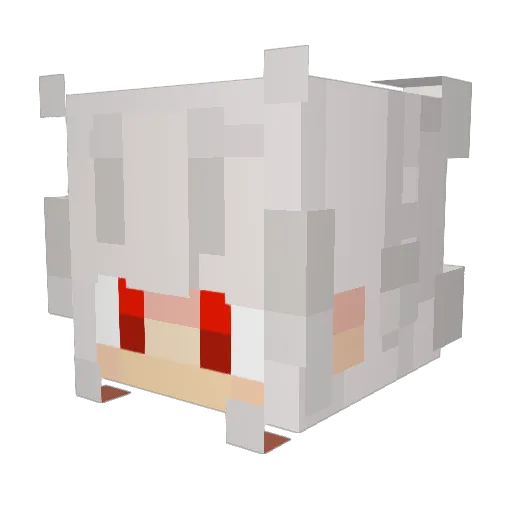ghostiscoole Minecraft avatar head, 3D render