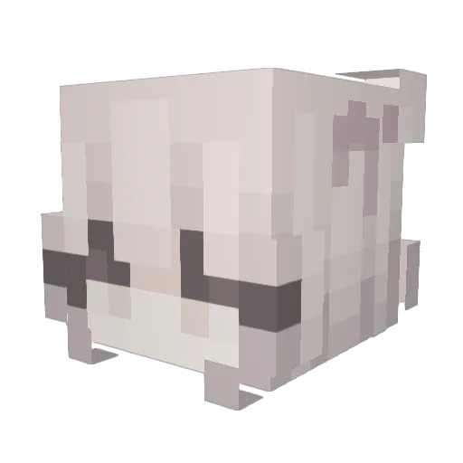 ghostly_kit Minecraft avatar head, 3D render
