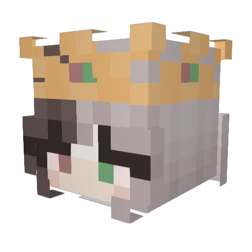 ghostn0tf0und Minecraft avatar head, 3D render