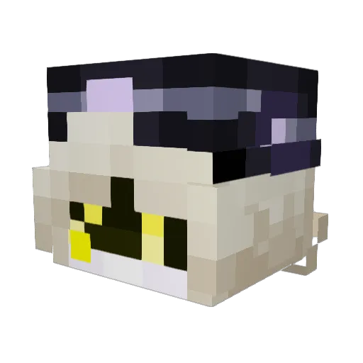 ghostparades Minecraft avatar head, 3D render