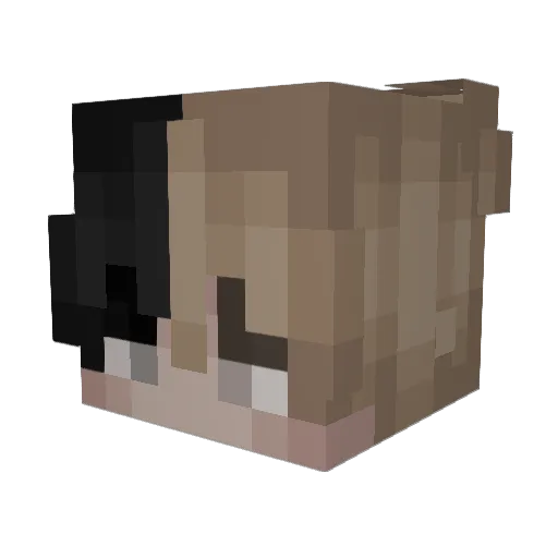 ghostpetrichor Minecraft avatar head, 3D render
