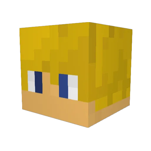 ghostrider_sf Minecraft avatar head, 3D render