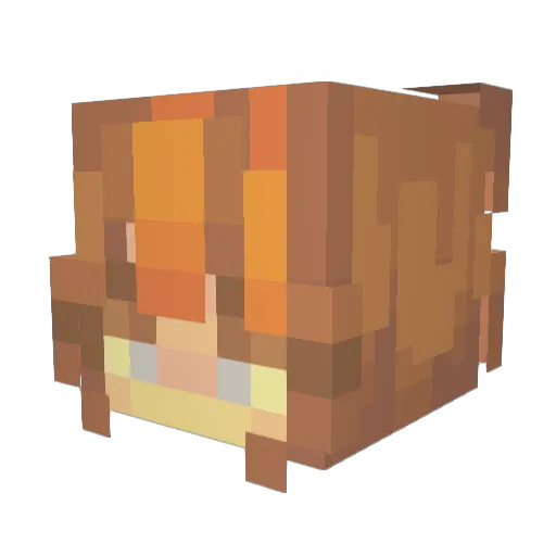 ghxsttype Minecraft avatar head, 3D render