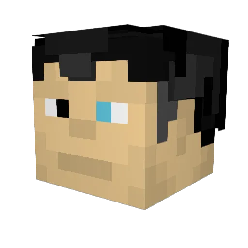 gi_orca Minecraft avatar head, 3D render