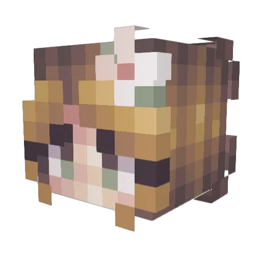 gia_xo_ Minecraft avatar head, 3D render