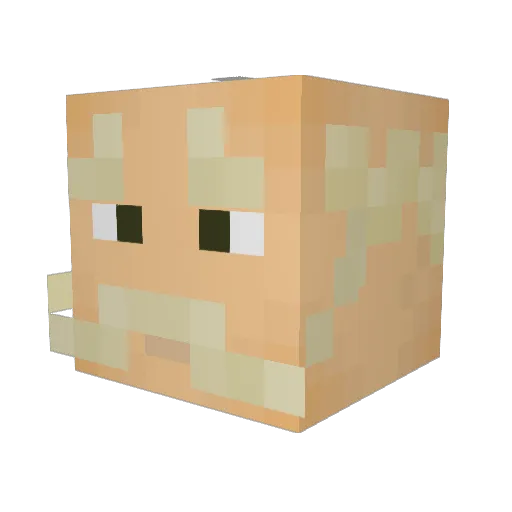 giacoidioto Minecraft avatar head, 3D render