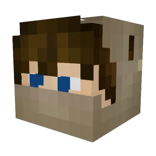 giantmonster1523 Minecraft avatar head, 3D render