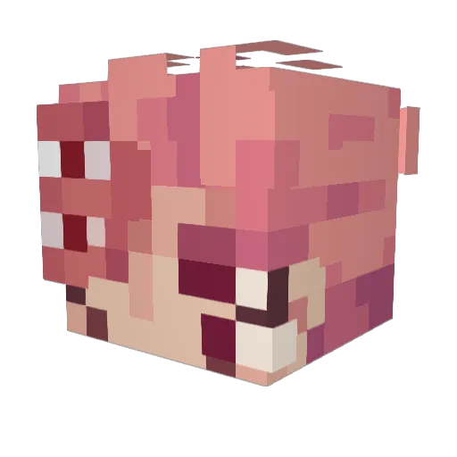 gianxd123456 Minecraft avatar head, 3D render