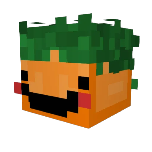 gibson0507 Minecraft avatar head, 3D render