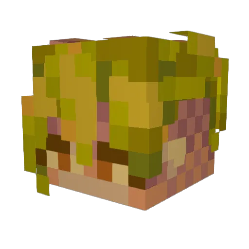 gigii404 Minecraft avatar head, 3D render