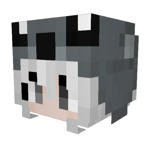 gigimagro Minecraft avatar head, 3D render