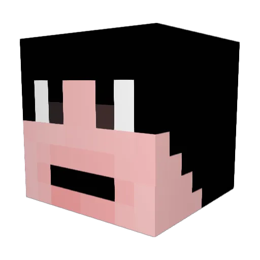 gillet123 Minecraft avatar head, 3D render