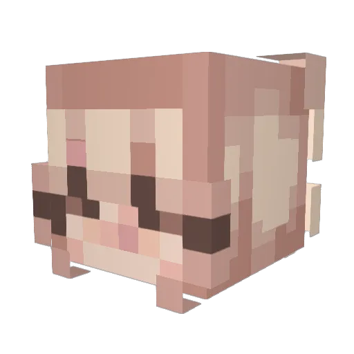 gillian_noelle Minecraft avatar head, 3D render