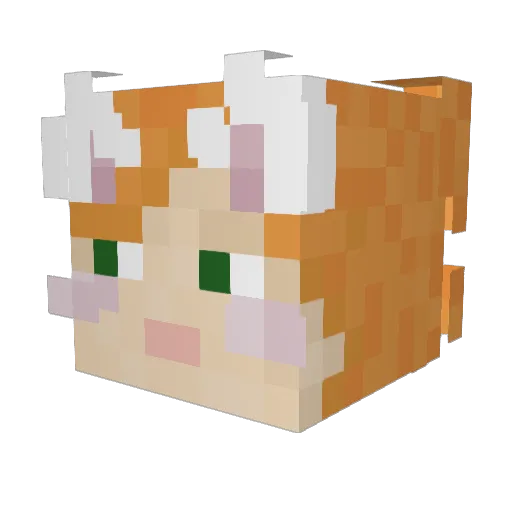 ginabaninaa Minecraft avatar head, 3D render