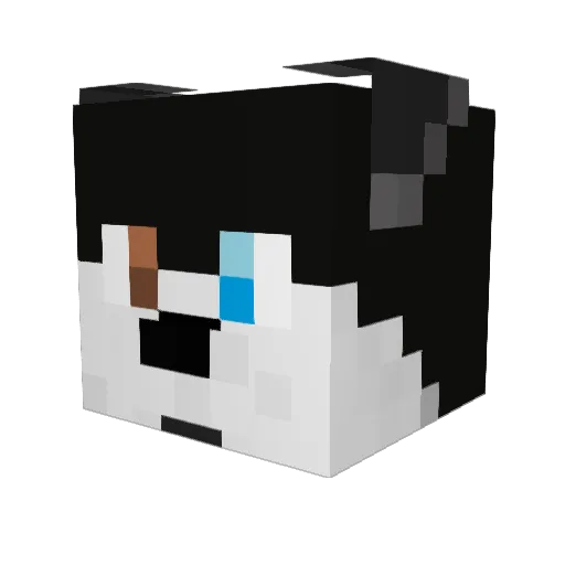 ginbot86 Minecraft avatar head, 3D render