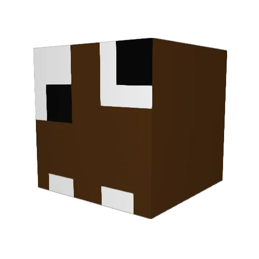 ginganinja40 Minecraft avatar head, 3D render