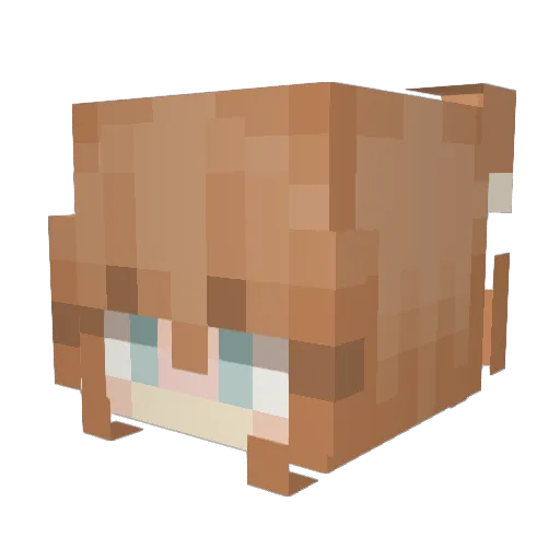 gingerkuchen Minecraft avatar head, 3D render