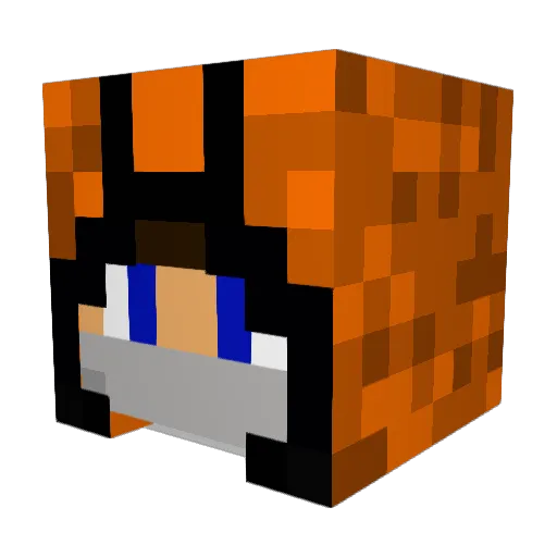 gingerninja1122 Minecraft avatar head, 3D render