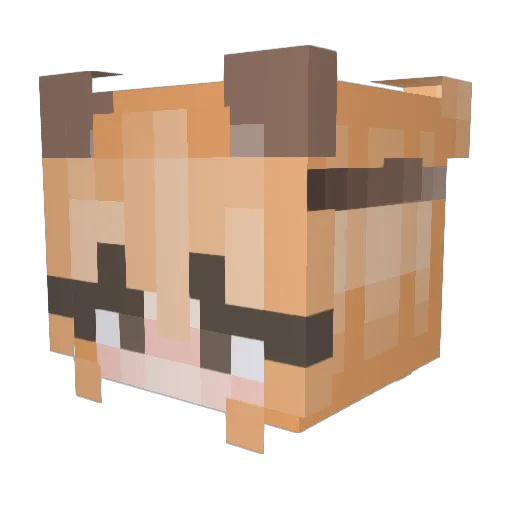 gingerrsnap_ Minecraft avatar head, 3D render