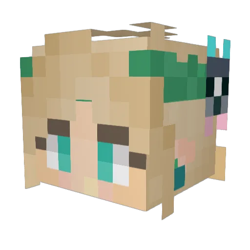 giovsfe27 Minecraft avatar head, 3D render