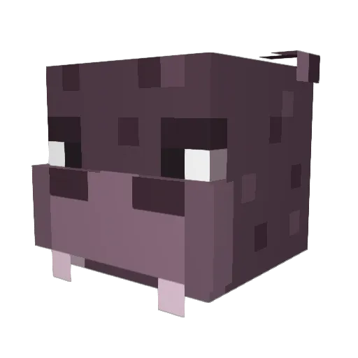 gipoopotamy Minecraft avatar head, 3D render