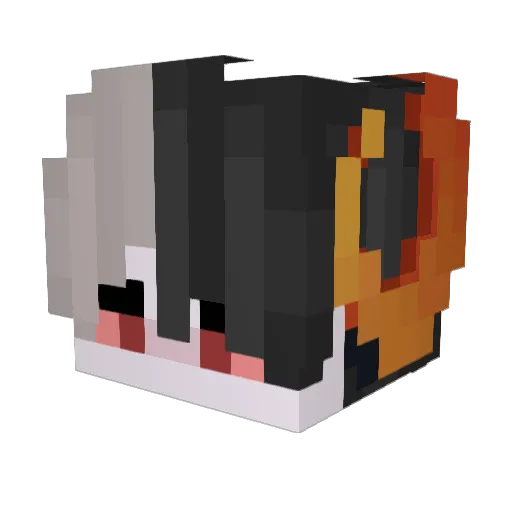 girafffffffe Minecraft avatar head, 3D render