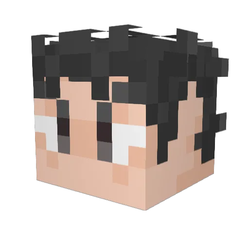 girisan17 Minecraft avatar head, 3D render