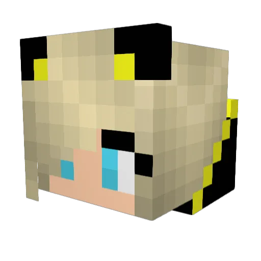 girldangerous4 Minecraft avatar head, 3D render