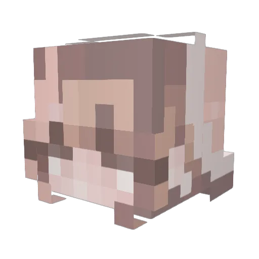 girlinterrupt9d Minecraft avatar head, 3D render