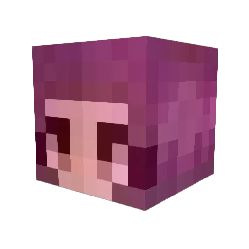 gisselex1 Minecraft avatar head, 3D render