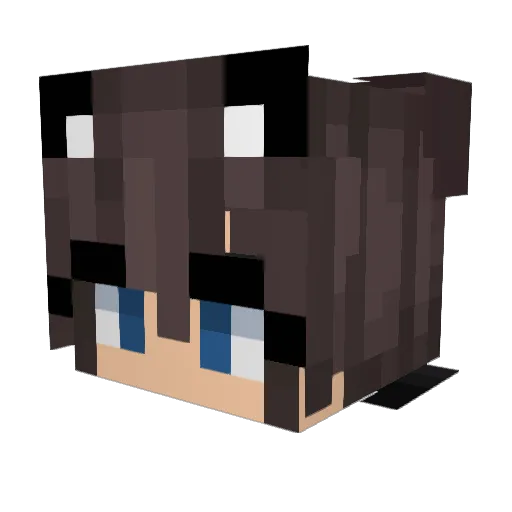 gits_halt Minecraft avatar head, 3D render