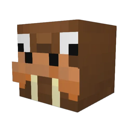 gizmo1016 Minecraft avatar head, 3D render