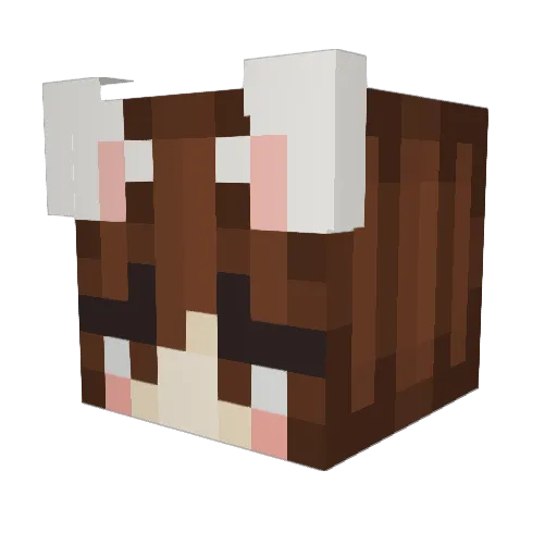 gizmowski_ Minecraft avatar head, 3D render