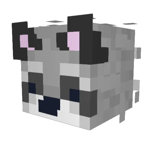 gizwu Minecraft avatar head, 3D render