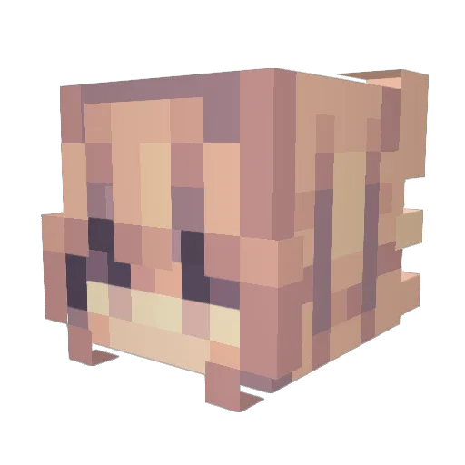 glaciercherryy Minecraft avatar head, 3D render