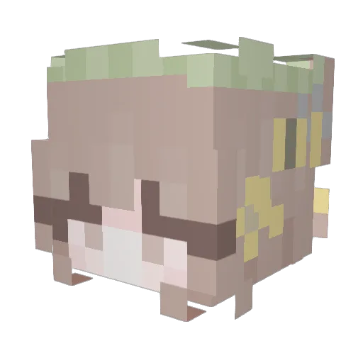 glitchyriley Minecraft avatar head, 3D render