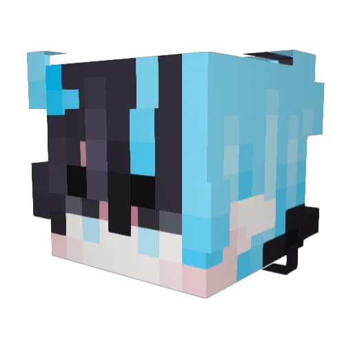 gln_sage Minecraft avatar head, 3D render