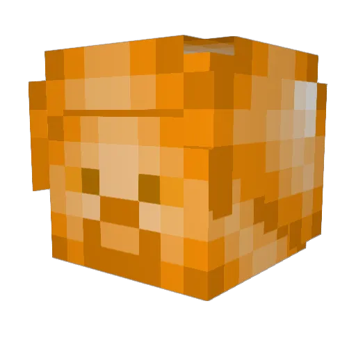 globalnoahpro Minecraft avatar head, 3D render