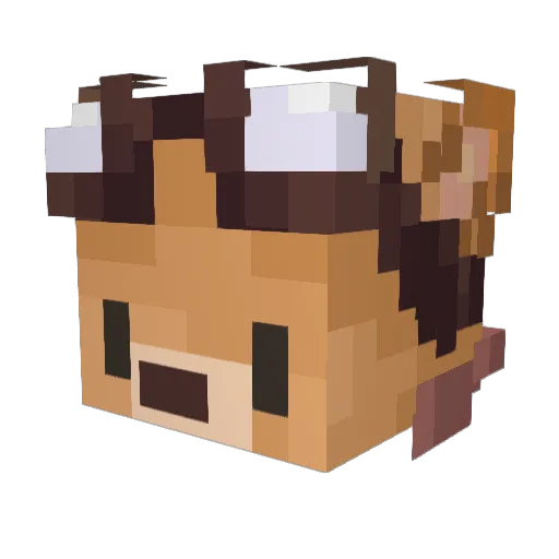 glonek1976 Minecraft avatar head, 3D render