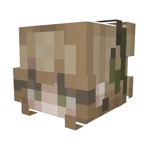 gloobert_ Minecraft avatar head, 3D render