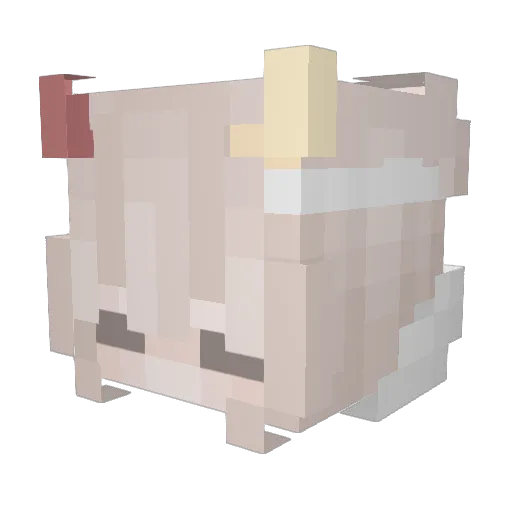 gloopsoop Minecraft avatar head, 3D render