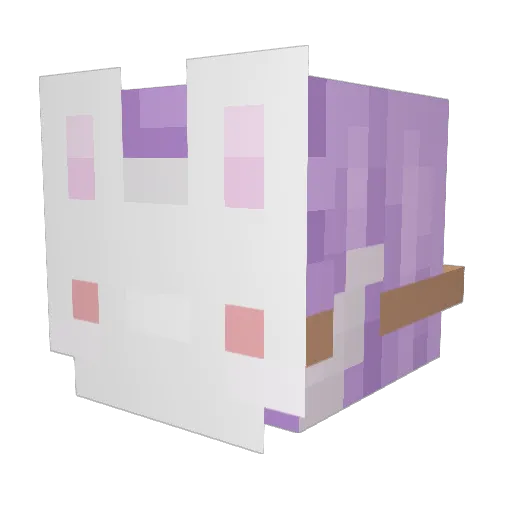 gloridays Minecraft avatar head, 3D render