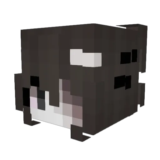 gloryglock Minecraft avatar head, 3D render