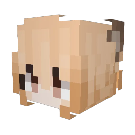 glosuka Minecraft avatar head, 3D render
