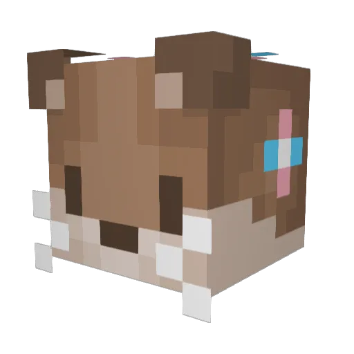 gm47 Minecraft avatar head, 3D render