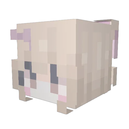 gmldnjs Minecraft avatar head, 3D render